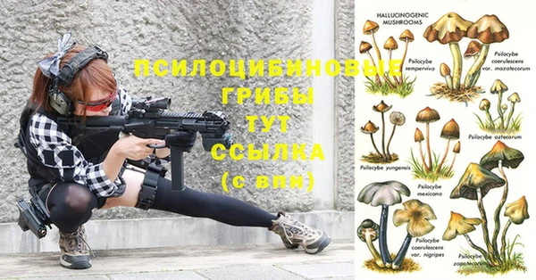 прущая мука Магас