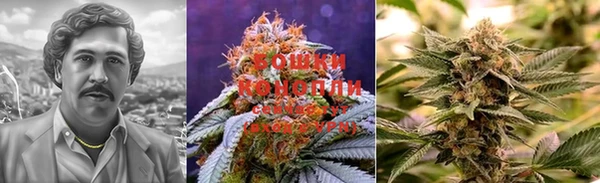 прущая мука Магас