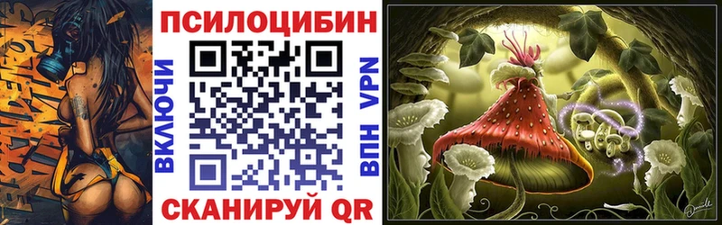 Псилоцибиновые грибы Psilocybe Унеча