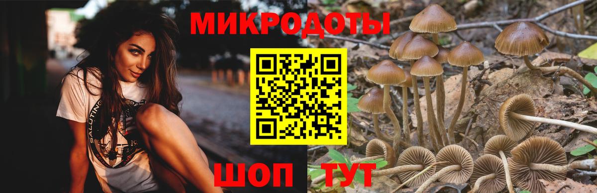 Галлюциногенные грибы Magic Shrooms Унеча